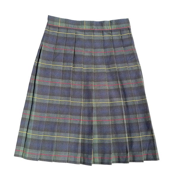 Plaid skirt Falda tableada