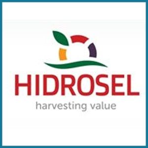hidrosel