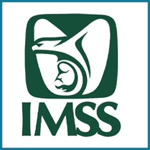 imss puebla